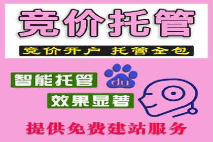 百度广告推广费用预算与效果评估